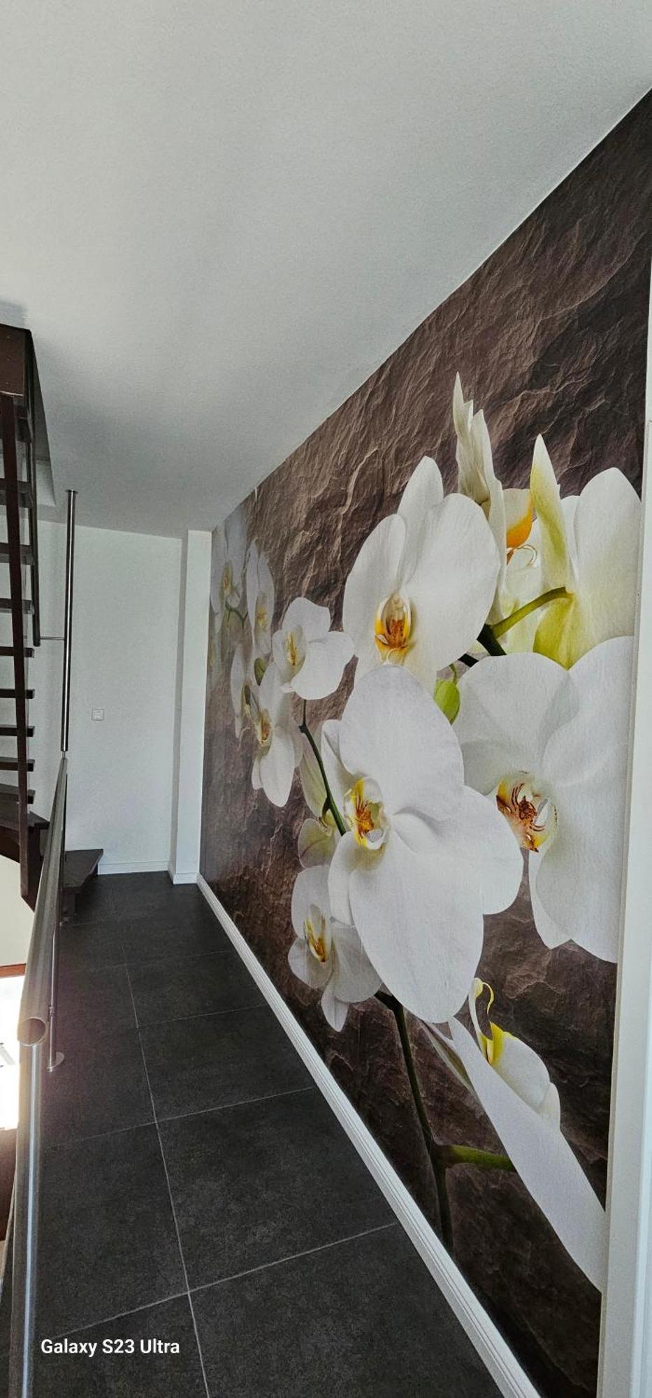 Gaestehaus Orchidee Hoya Dış mekan fotoğraf